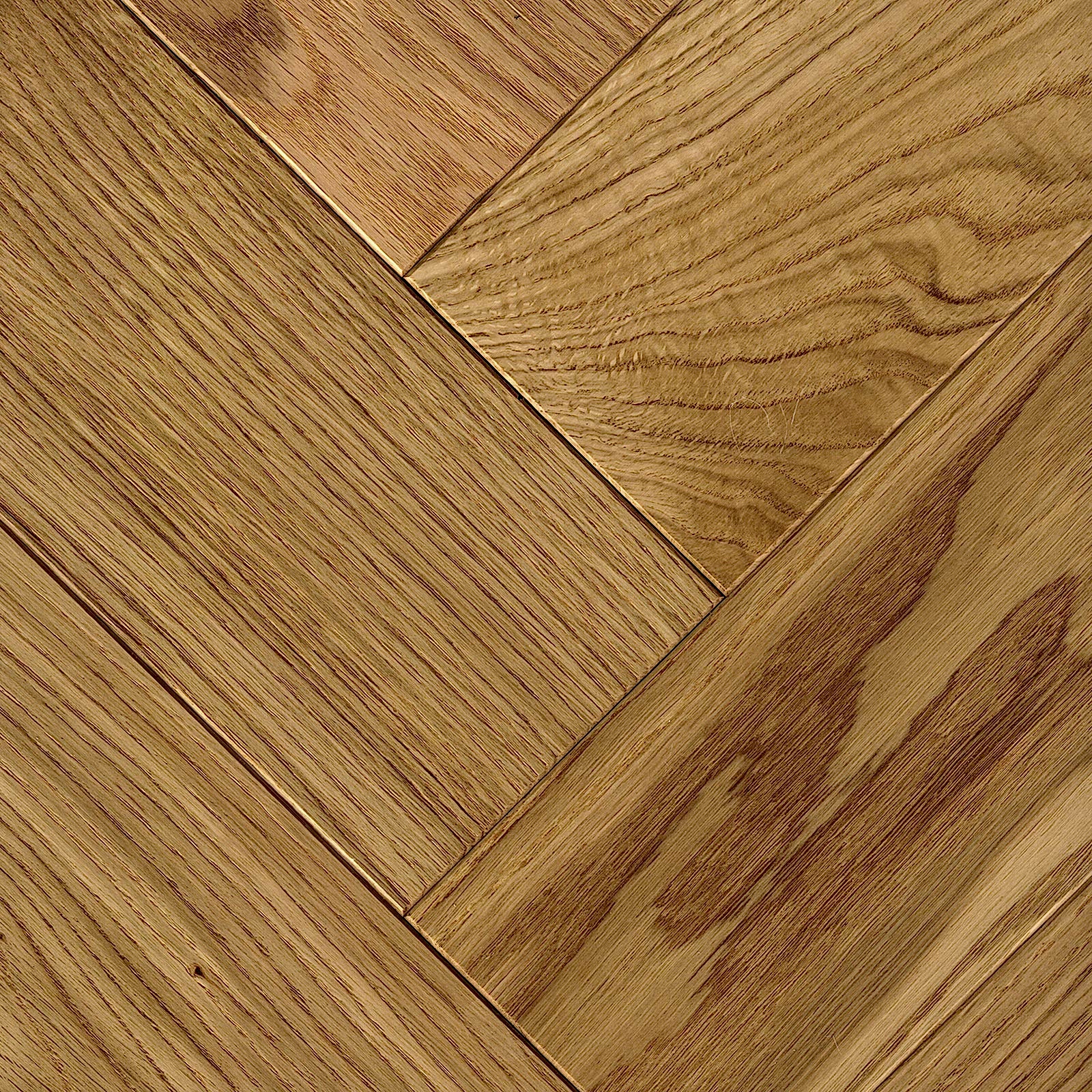 Glasgow FB Hout Balıksırtı