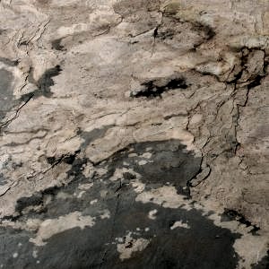 Skinrock Fresh Earth