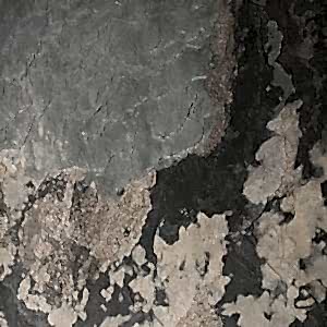 Skinrock Mother Earth