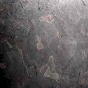 Skinrock Rooster Multi