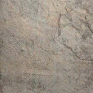 Skinrock Shining Leaves