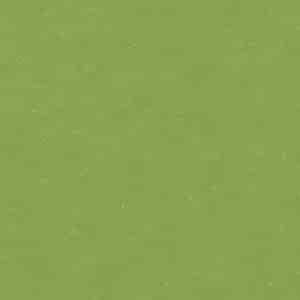 Aloe Green - wineo 1500 chip rulo